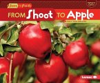 From Shoot to Apple (eBook, PDF) From Shoot to Apple (eBook, PDF)
