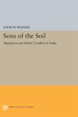 Sons of the Soil (eBook, PDF)