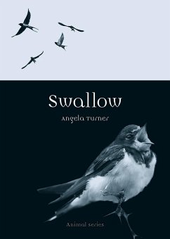 Swallow (eBook, ePUB) - Angela Turner, Turner