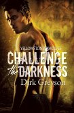 Challenge the Darkness (eBook, ePUB)