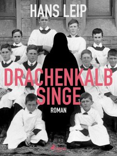 Cover Drachenkalb singe (eBook, ePUB)