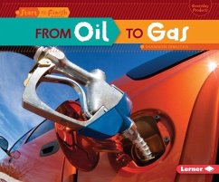Cover From Oil to Gas (eBook, PDF)