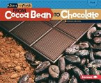 From Cocoa Bean to Chocolate (eBook, PDF)