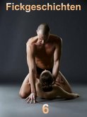 Fickgeschichten 6 (eBook, ePUB) Fickgeschichten 6 (eBook, ePUB)