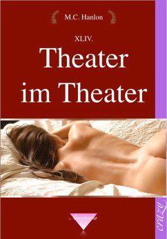 Cover Theater im Theater (eBook, ePUB)