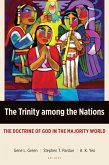 Trinity among the Nations (eBook, ePUB)