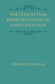 Conceptual Representation of Consciousness (eBook, ePUB)