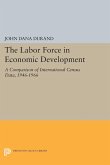 The Labor Force in Economic Development (eBook, PDF)
