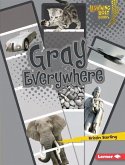 Gray Everywhere (eBook, PDF) Gray Everywhere (eBook, PDF)