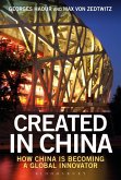 Created in China (eBook, PDF)