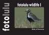 fotolulu wildlife I - Bild 1