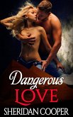 Dangerous Love (eBook, ePUB)