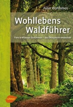 Wohllebens Waldführer - Wohlleben, Peter