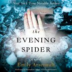 The Evening Spider