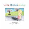 Going Through a Maze - Bild 1