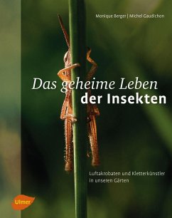 Das geheime Leben der Insekten - Berger, Monique;Gaudichon, Michel