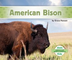 American Bison - Hansen, Grace