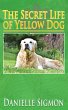 The Secret Life of Yellow Dog - Bild 1