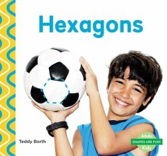 Hexagons - Borth, Teddy