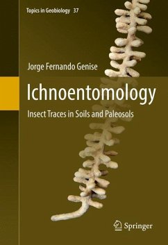 Ichnoentomology - Genise, Jorge Fernando