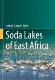 Soda Lakes of East Africa