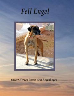 Fell Engel (eBook, ePUB)