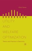 Utility and Welfare Optimization (eBook, PDF)