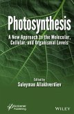 Photosynthesis (eBook, PDF)