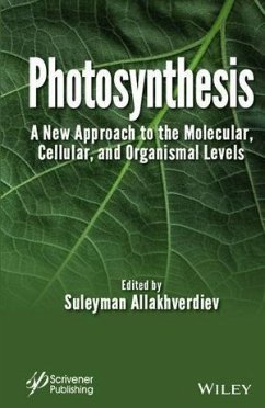 Photosynthesis (eBook, PDF)