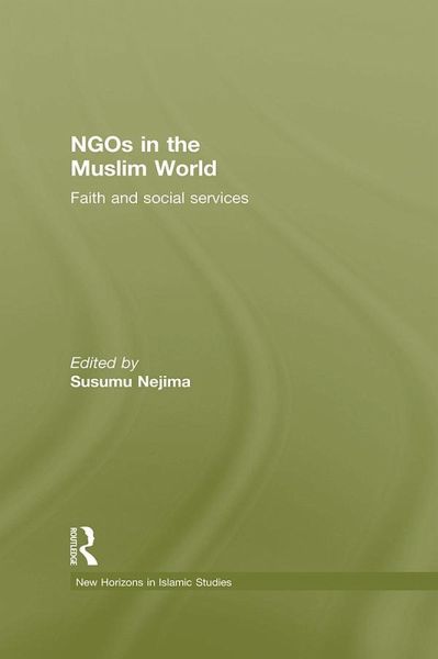NGOs in the Muslim World (eBook, PDF)