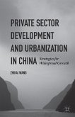 Private Sector Development and Urbanization in China (eBook, PDF)