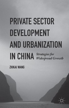 Private Sector Development and Urbanization in China (eBook, PDF) - Wang, Zhikai