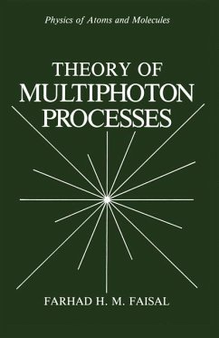 Cover Theory of Multiphoton Processes (eBook, PDF)