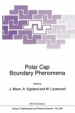 Polar Cap Boundary Phenomena (eBook, PDF)