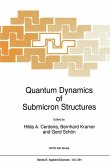 Quantum Dynamics of Submicron Structures (eBook, PDF)
