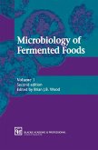 Microbiology of Fermented Foods (eBook, PDF)