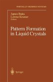 Pattern Formation in Liquid Crystals (eBook, PDF)