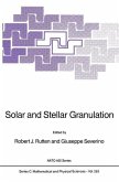 Solar and Stellar Granulation (eBook, PDF)