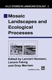 Mosaic Landscapes and Ecological Processes (eBook, PDF)
