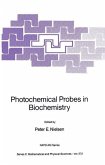 Photochemical Probes in Biochemistry (eBook, PDF)