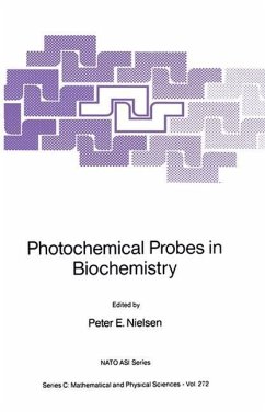 Photochemical Probes in Biochemistry (eBook, PDF)