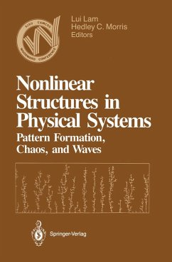 Nonlinear Structures in Physical Systems (eBook, PDF)