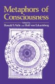 Metaphors of Conciousness (eBook, PDF)