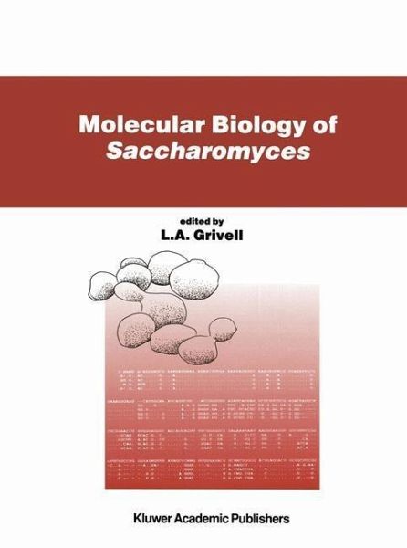 Molecular Biology of Saccharomyces (eBook, PDF) Molecular Biology of Saccharomyces (eBook, PDF)