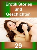 Erotik Stories und Geschichten 29 (eBook, ePUB)