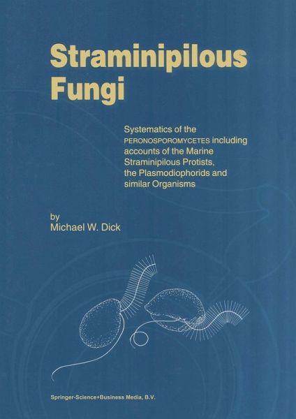 Straminipilous Fungi (eBook, PDF)