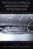 Physicochemical Groundwater Remediation (eBook, PDF)