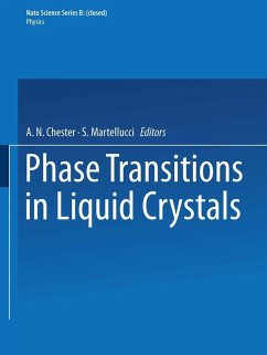 Phase Transitions in Liquid Crystals (eBook, PDF)