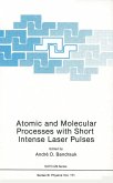 Atomic and Molecular Processes with Short Intense Laser Pulses (eBook, PDF)