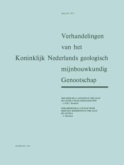 Cover The Deep-Sea Canyons in the Gulf of Guinea Near Fernando Póo (eBook, PDF)